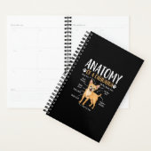 Chihuahua Chien anatomie (Devant avec enveloppe)