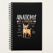 Chihuahua Chien anatomie (Devant)