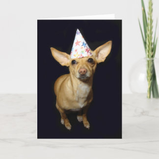Chihuahua Chien Casquette Pièce Carte de voeux Ann