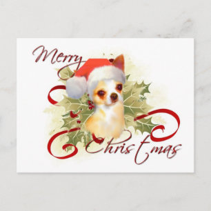 Chihuahua Christmas Briefkaart