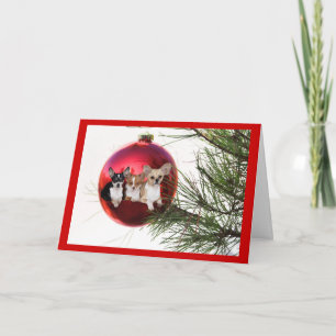 Chihuahua Christmas Kaart Ball