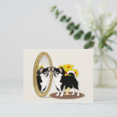 Chihuahua Dans Une Carte Postale Miroir (Debout devant)