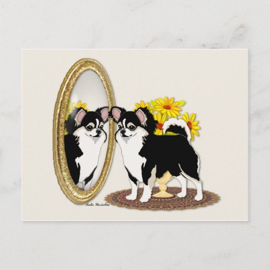 Chihuahua Dans Une Carte Postale Miroir (Devant)