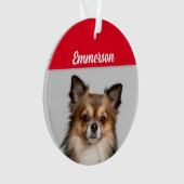 Chihuahua de long Haired avec nom et orna photo (devant)