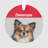 Chihuahua de long Haired avec nom et orna photo (devant)