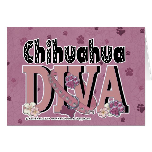 Chihuahua DIVA (Voorkant Horizontaal)