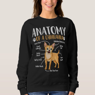 Chihuahua Dog Anatomy Dog Pet Puppy Trui