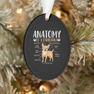 Chihuahua Dog Anatomy Ornament