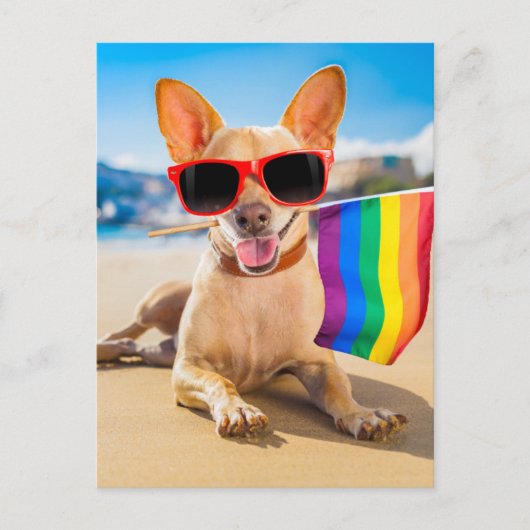 Chihuahua Dog bij het strand Briefkaart (Voorkant)