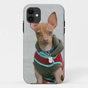 Chihuahua dog iPhone 11 hoesje
