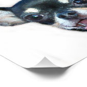 Chihuahua dog foto afdruk (Hoek)