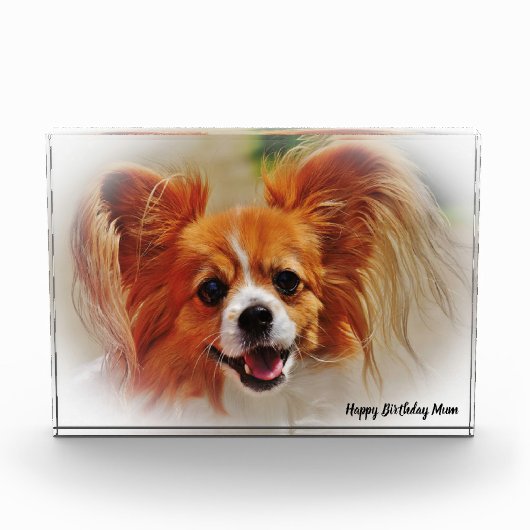 Chihuahua Dog. Fotoblokken (Voorkant)