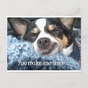 Chihuahua Dog glimlach Briefkaart