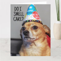 CHIHUAHUA DOG GRAPPIGE VERJAARDAG KAART