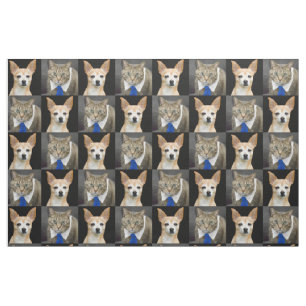 Chihuahua Dog Gray Tabby Cat met blauw Stropdas Pa Stof