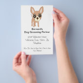 Chihuahua Dog Grooming Parlor Flyer (Hand)