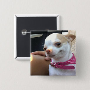 Chihuahua Dog Meme Pin Button