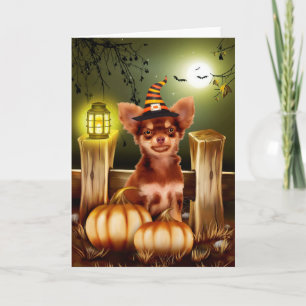 Chihuahua Dog met Witch Pet Halloween Gift Idea Kaart