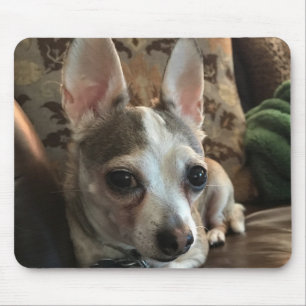 Chihuahua Dog Mousepad Muismat