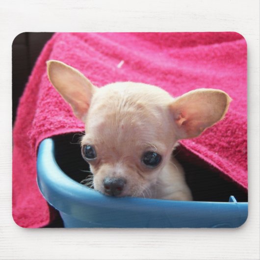 Chihuahua Dog Mousepad Muismat (Voorkant)