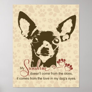 Chihuahua Dog My Sunshine Poster