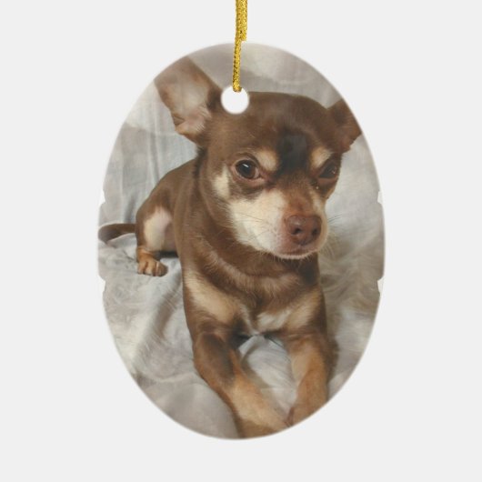 Chihuahua Dog Ornament (Voorkant)