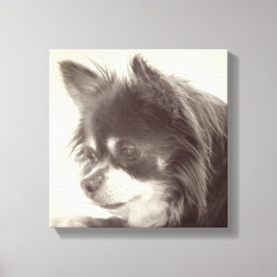 Chihuahua Dog Portrait Canvas Afdruk