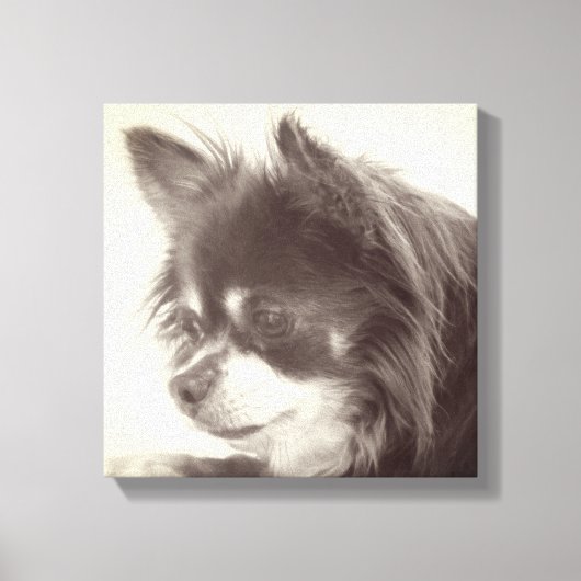 Chihuahua Dog Portrait Canvas Afdruk (Voorkant)
