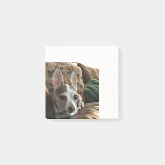 Chihuahua Dog Post Post-it® Notes (Voorkant)