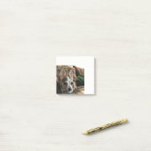 Chihuahua Dog Post Post-it® Notes (Op bureau)