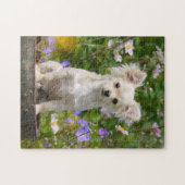Chihuahua Dog Puppy Photo met lange hals - Game Legpuzzel (Horizontaal)