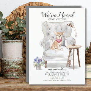 Chihuahua Dog We hebben een bewegende aankondiging