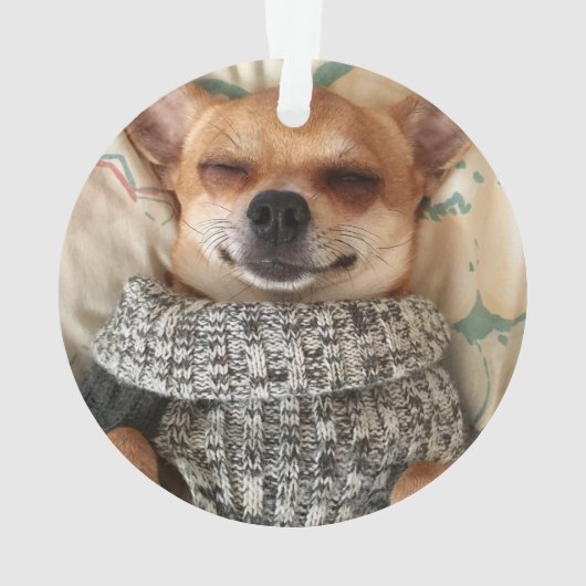 Chihuahua Dog with Name and Photo (dos)