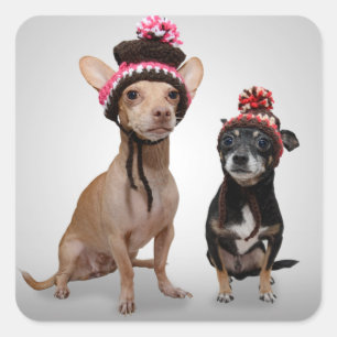 Chihuahua Dogs met foto van Petten Vierkante Sticker