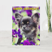 Chihuahua en fleurs carte d'anniversaire (Devant)