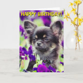 Chihuahua en fleurs carte d'anniversaire (Fleur jaune)