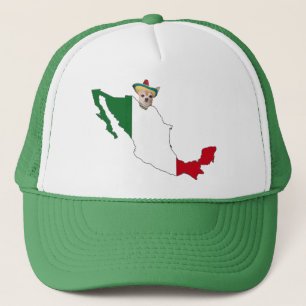 CHIHUAHUA EN MEXICO TRUCKER PET