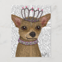 Chihuahua en Tiara