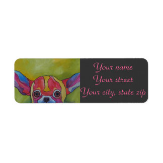 Chihuahua Étiquette