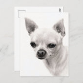 Chihuahua Face Study Hand geschilderd kunstwerk Briefkaart (Voorkant / Achterkant)