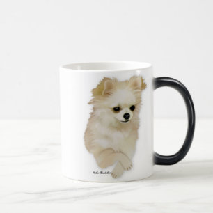 Chihuahua Fawn Puppy Mok