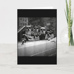 Chihuahua Gangster Hond Straathond Grappige Chihua Kaart