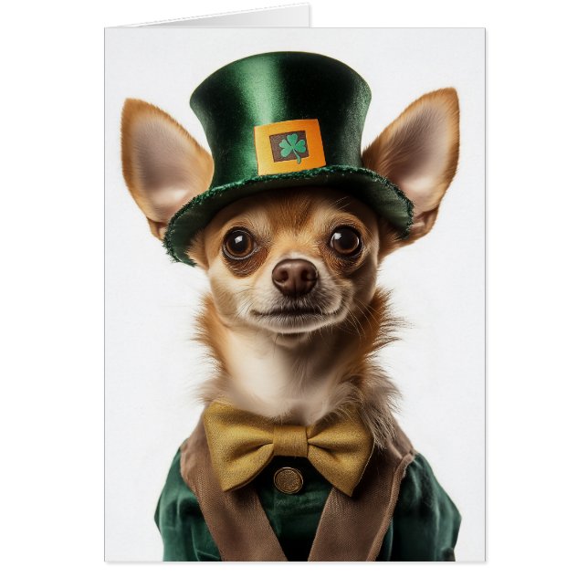 Chihuahua habillé Leprechaun Saint Patrick (Devant)