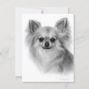 Chihuahua handgeschilderd huisdierenportret briefkaart