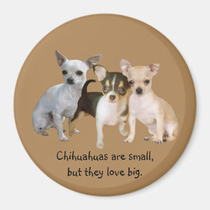 Chihuahua Happy Trio Magnet Magneet