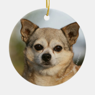 Chihuahua Headshot Keramisch Ornament