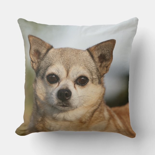 Chihuahua Headshot Kussen (Voorkant)