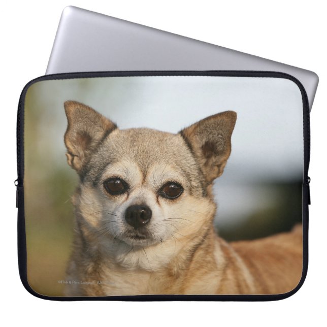 Chihuahua Headshot Laptop Sleeve (Voorkant)