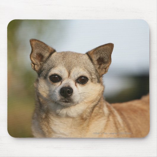 Chihuahua Headshot Muismat (Voorkant)