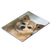 Chihuahua Headshot Notitieboek (Linkerzijde)
